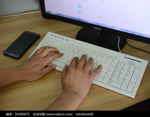 男性之手 連接數(shù)字世界，服務(wù)會(huì)展未來